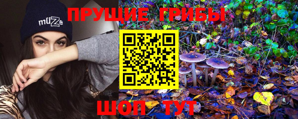 Губаха  Псилоцибиновые грибы MAGIC MUSHROOMS  Вход с VPN 